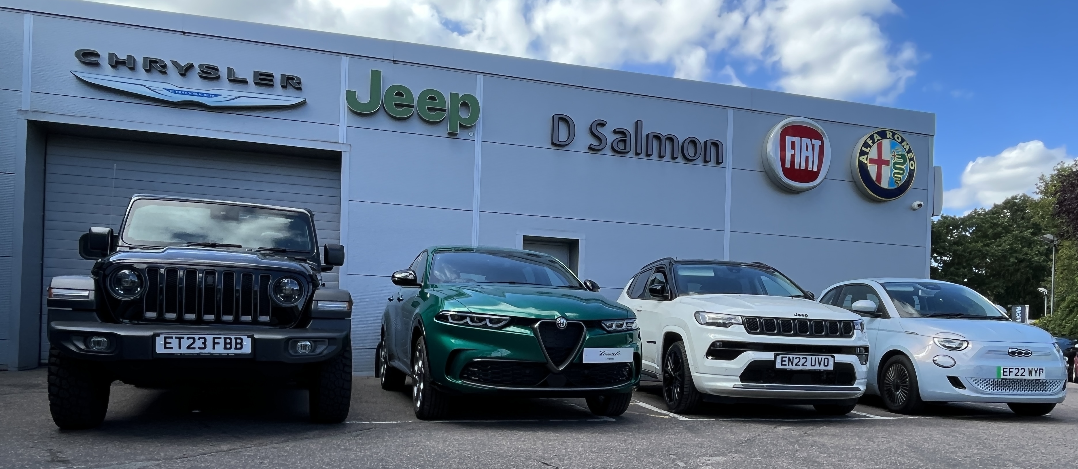 D Salmon Cars